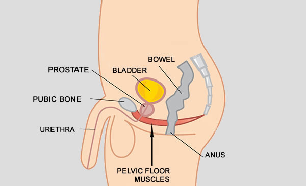 Doing Kegel exercises right means find your pelvic floor muscles and working them.